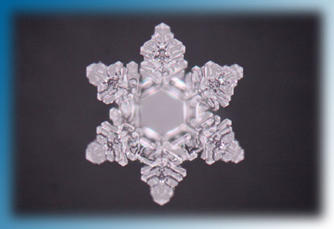 hado life water crystal masaru emoto foundet by rasmus gaupp-berghausen