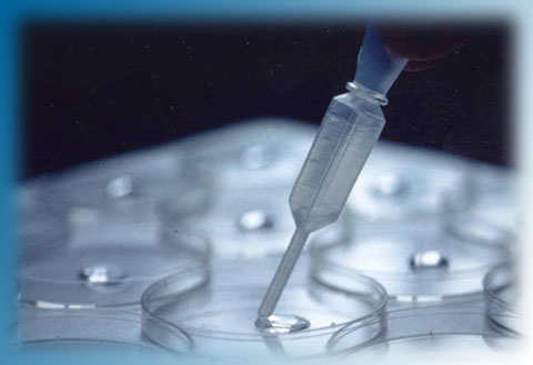 petri dish water crystal testing hado life