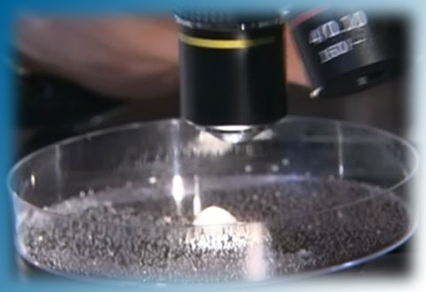 hadolife wasserkristall untersuchung masaru emoto