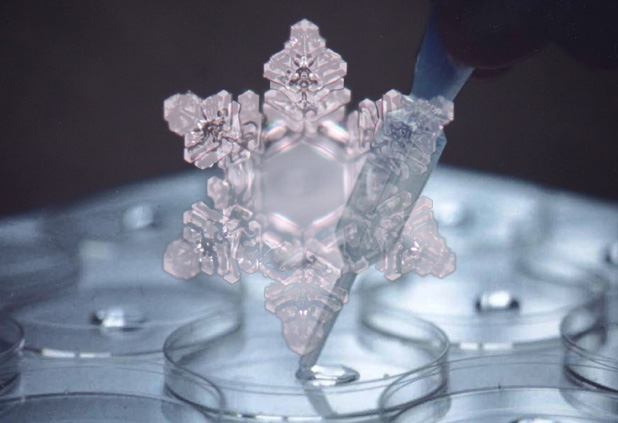 wasserkristall untersuchung hado life nach der methode masaru emoto wasserkristalluntersuchung masaru emoto rasmus gaupp hado life